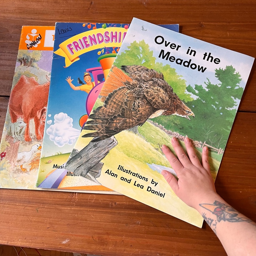 Classroom BIG BOOKS lot (14.5inches x 19inches)